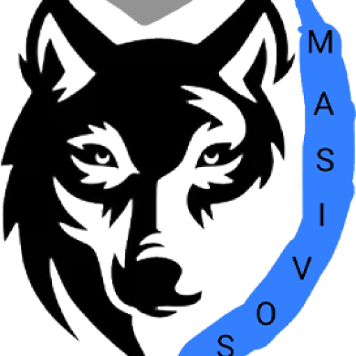 Seguridad para eventos